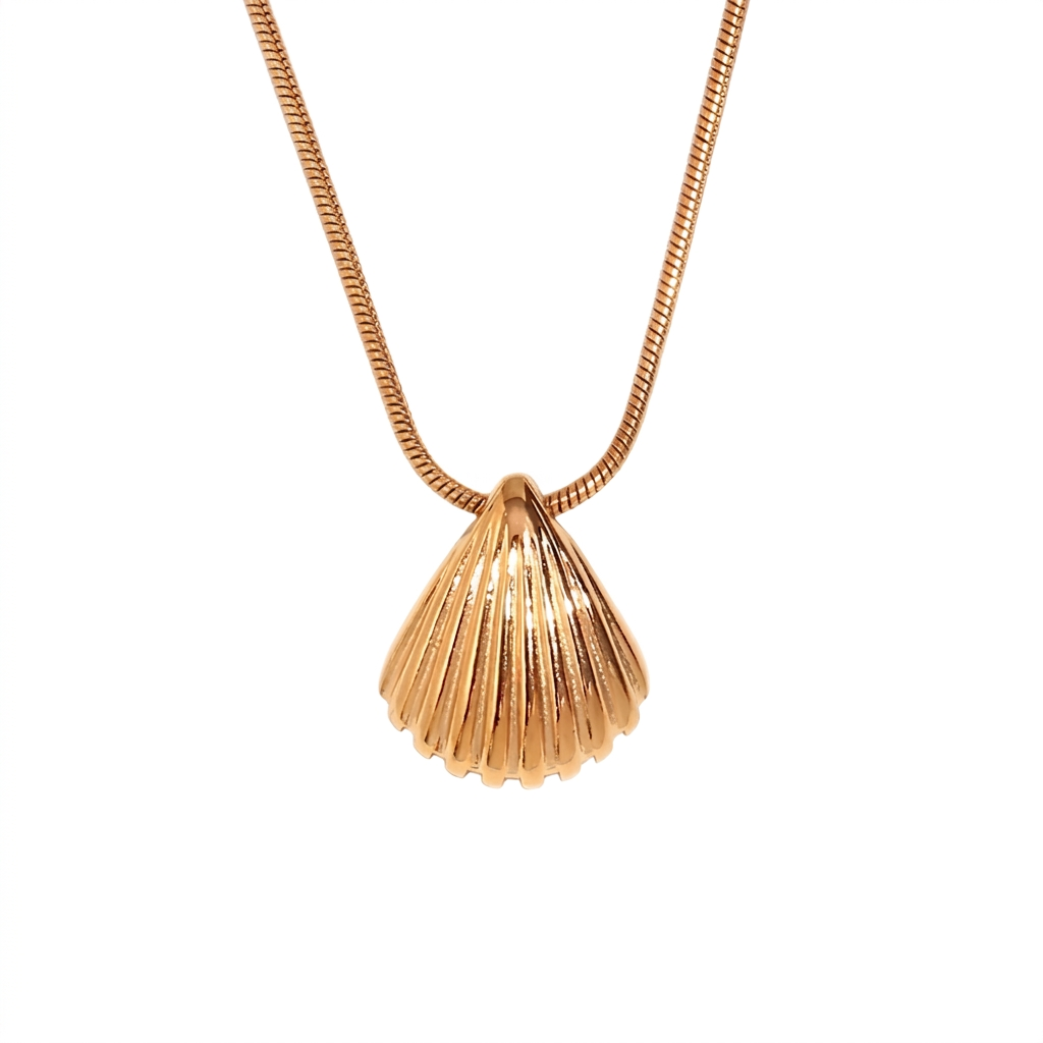 Scalloped Seashell Necklace