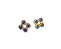 Petite Blue Clover
