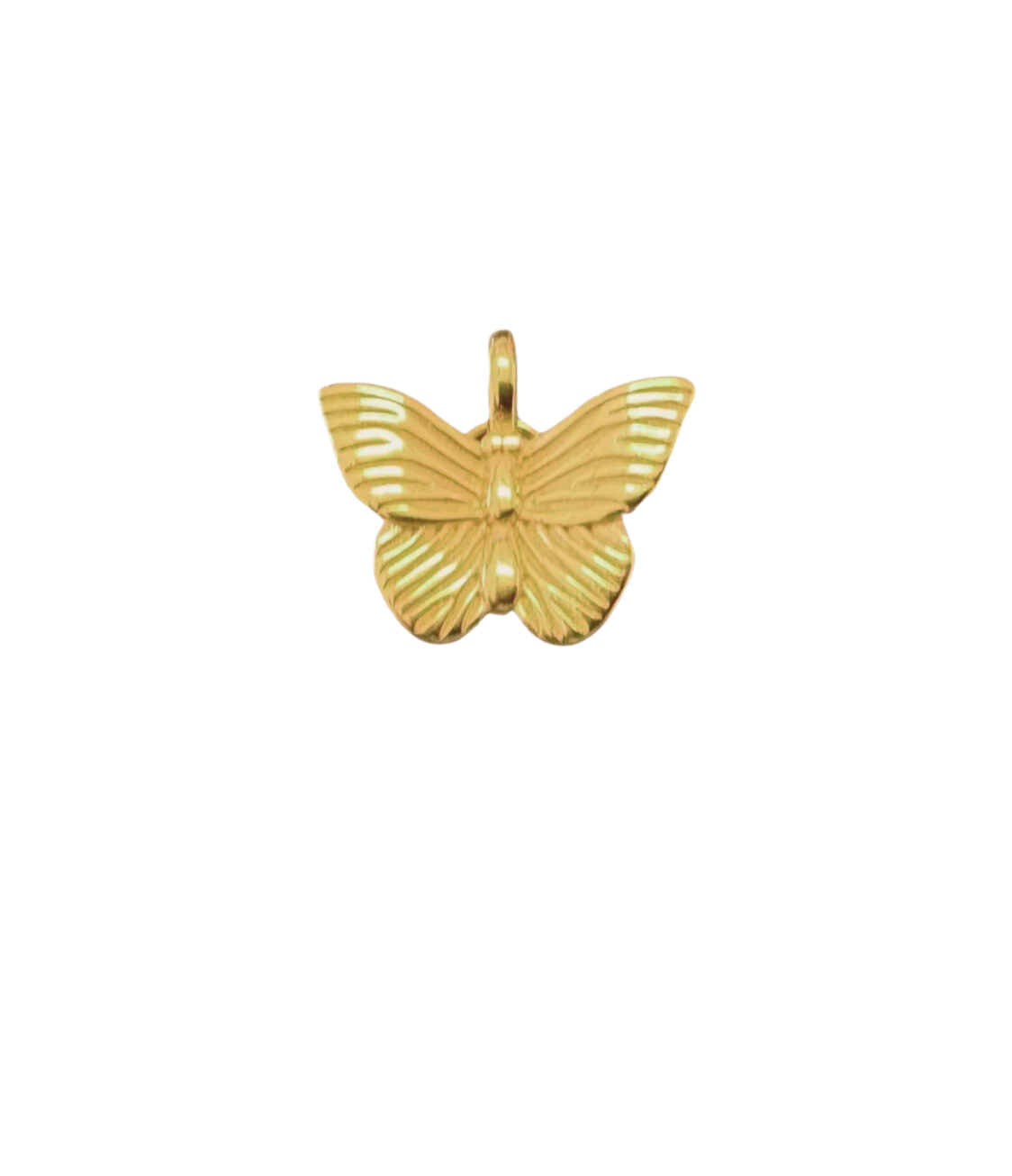 G2- Butterfly Charm