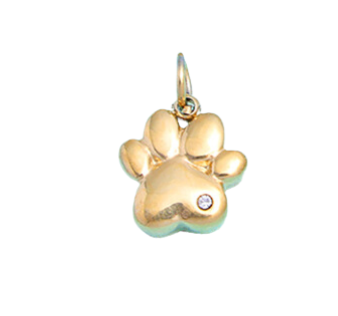 G2- Sparkle Paw