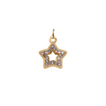 G2- Sparkle Star Charm